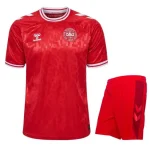 Denmark 2024/25 Kids Home Kit by hummel