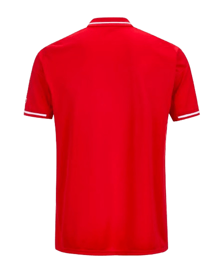 nottingham1-removebg-preview Nottingham Forest 2025/2026 Home Jersey by Adidas - Image 2