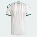 Back of white Adidas jersey with green and red trim.