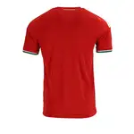 Back of red soccer jersey with white stripes and green trim.