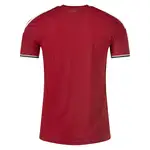 Back view of a red soccer jersey with white and green trim.
