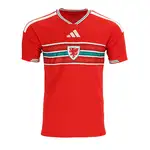 Wales national football team jersey.