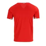 Back view of a red t-shirt with white and green stripes on the sleeves.