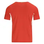 Back view of a red and white athletic t-shirt.