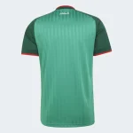 Algeria away 26/27 back view