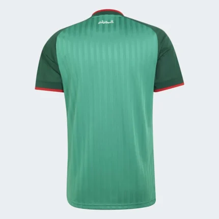 Algeria away 26/27 back view