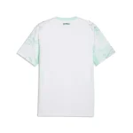 Austria 2026/27 Away Jersey by PUMA - Image 2